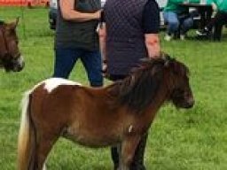 Gue Xtra Special 2 (2)